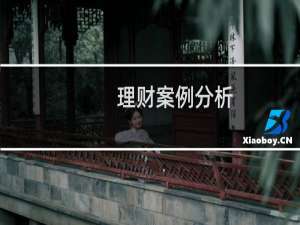 理财案例分析