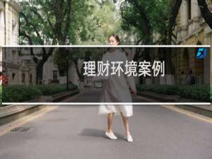 理财环境案例