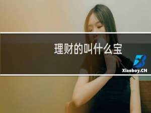 理财的叫什么宝