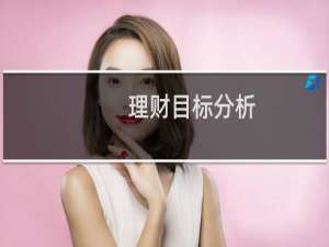 理财目标分析