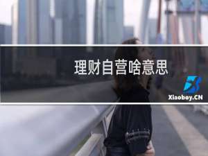 理财自营啥意思