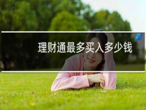 理财通最多买入多少钱