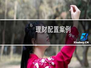 理财配置案例