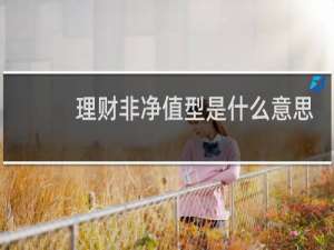 理财非净值型是什么意思