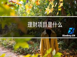 理财项目是什么