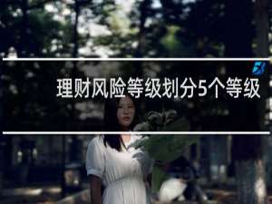 理财风险等级划分5个等级