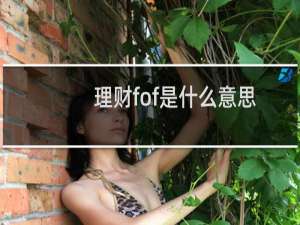 理财fof是什么意思