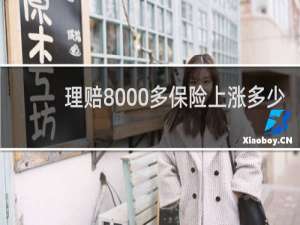 理赔8000多保险上涨多少