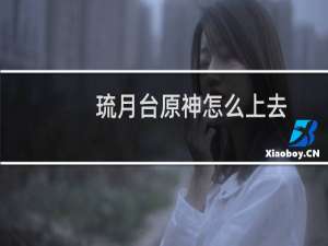 琉月台原神怎么上去