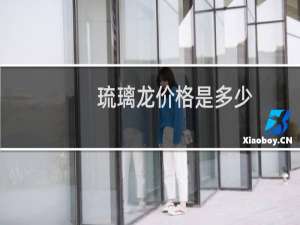琉璃龙价格是多少