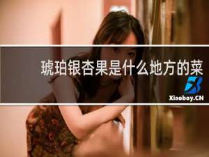 琥珀银杏果是什么地方的菜