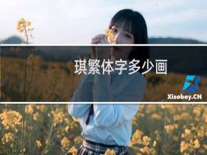 琪繁体字多少画