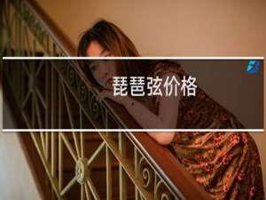 琵琶弦价格