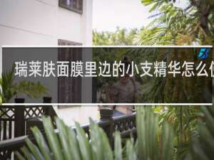 瑞莱肤面膜里边的小支精华怎么使用