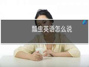 瓢虫英语怎么说