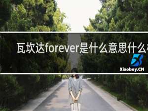 瓦坎达forever是什么意思什么梗