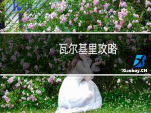 瓦尔基里攻略
