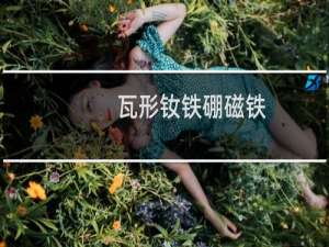 瓦形钕铁硼磁铁