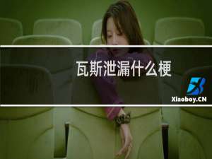 瓦斯泄漏什么梗