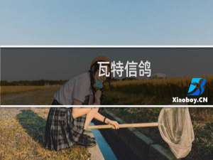 瓦特信鸽