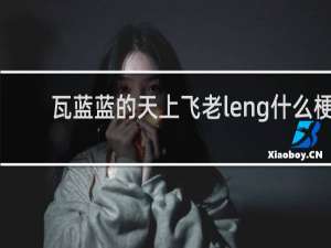 瓦蓝蓝的天上飞老leng什么梗