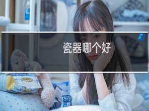 瓷器哪个好