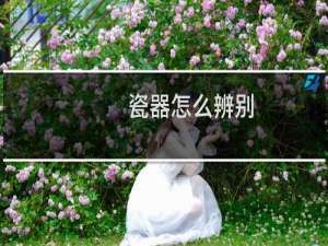 瓷器怎么辨别
