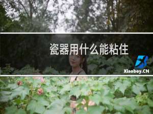 瓷器用什么能粘住