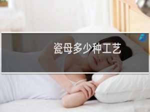 瓷母多少种工艺