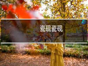 瓷砚瓷砚