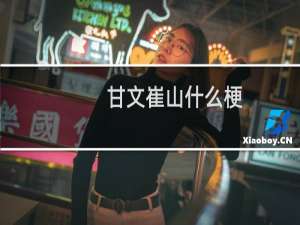 甘文崔山什么梗