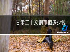 甘肃二十文铜币值多少钱