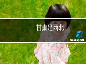 甘肃是西北