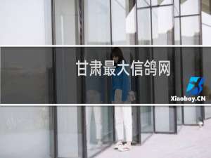 甘肃最大信鸽网