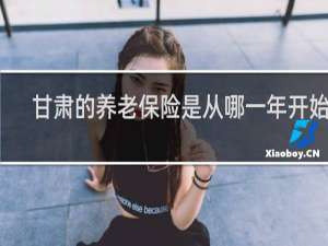 甘肃的养老保险是从哪一年开始的