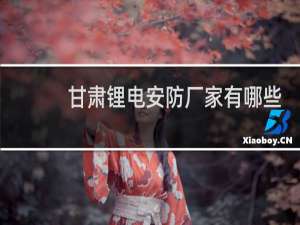 甘肃锂电安防厂家有哪些