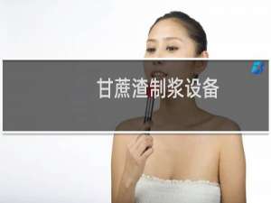 甘蔗渣制浆设备