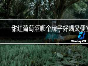 甜红葡萄酒哪个牌子好喝又便宜