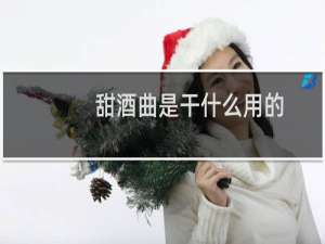 甜酒曲是干什么用的