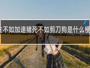 生不如加速猪死不如剪刀狗是什么梗什么梗