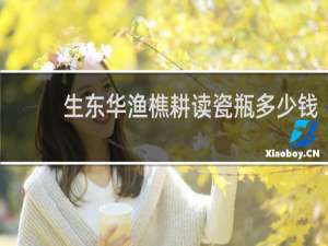 生东华渔樵耕读瓷瓶多少钱