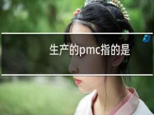 生产的pmc指的是