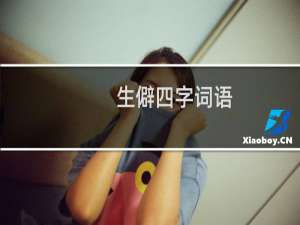生僻四字词语