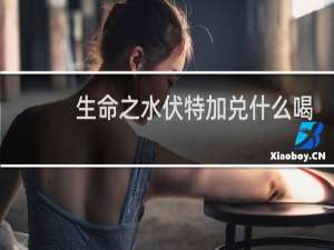 生命之水伏特加兑什么喝