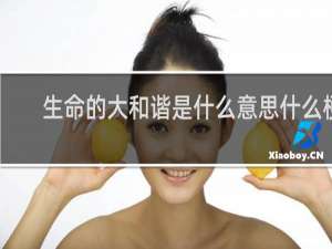 生命的大和谐是什么意思什么梗