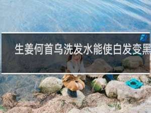 生姜何首乌洗发水能使白发变黑吗