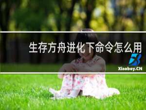 生存方舟进化下命令怎么用