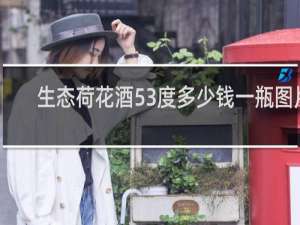 生态荷花酒53度多少钱一瓶图片