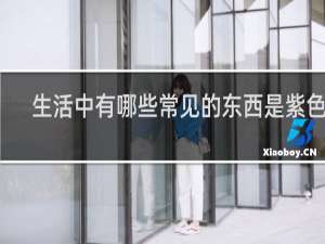 生活中有哪些常见的东西是紫色的