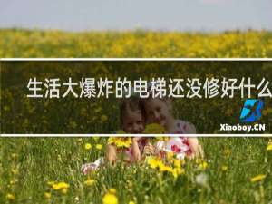 生活大爆炸的电梯还没修好什么梗？什么梗
